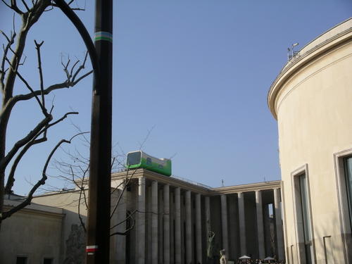 IMGP1303.JPG