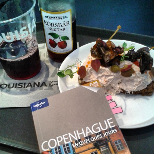 copenhague,blog voyages