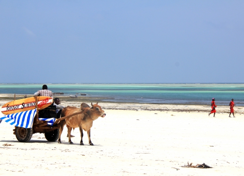 blog voyages,zanzibar