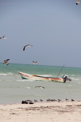 isla hlobox mexico,blog voyage,blog mode,isla holbox,mexico,lapiz of luxury essie,essie nail color,essie nail polish lapiz of luxury,isabel marant,shopping,tom ford sunglasses,barockine's,cabas barockine's,isabel marant étoile,bon plan mode,eres,bikini eres,tempting places,http:www.temptingplaces.comboutique-hotels-fr