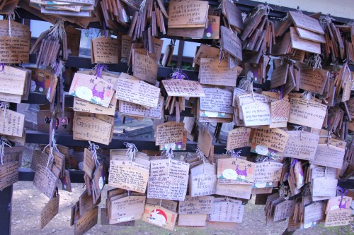 omikuji drawer sensō-ji temple tokyo japan,october 2011 (black and voyage au japon,trip to japan,tokyo,japon,shinjuku,asakusa,ueno,ginza,meiju jingu,parc,ueno onshi kōen,musée national de tokyo