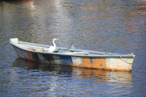 cidade maravilhosa,santa teresa,rio de janeiro,lapa,où se loger à rio,voyage,blog de voyages,brésil,casa de gente,casa de gente rio de janeiro,ipanema,copacabana,cristo redentor,museu de belas artes rio,modigliani imagens de uma vida,os ximenes lapa,catedral metropolitana rio,biblioteca publica rio,confeitaria colombo rio,theatro municipal,tijuca,os ximenes rio,corcovado,pan de azucar,pao de azucar,niteroi,copacabana palace,fasano rio de janeiro,museu de arte contemporânea de niterói — mac,bar astor,bar astor rio de janeiro,rio dans les pas de tasha de vasconcelos figaro madame