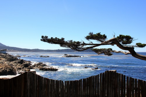 blog voyage,carmel by the sea,us west coast road trip