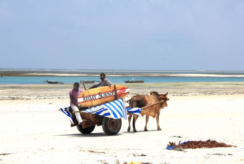 blog voyages,zanzibar