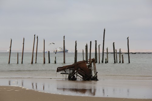 namibie,pelican point sight walvis bay,voyage en namibie