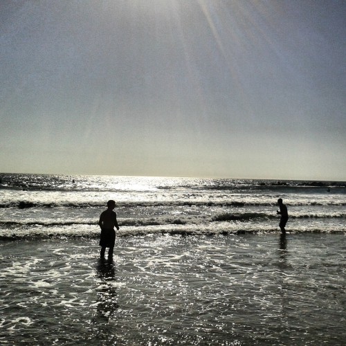 blog voyages,venice beach