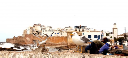 essaouira,voyage au maroc,sofitel essaouira,blog voyages