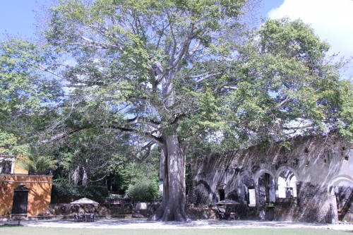 rodavento boutique hotel and spa,rodavento,valle de bravo,écolo lodge,paris,voyages,mexique,voyage au mexique,temptingplaces,http:www.temptingplaces.comboutique-hotels-fr,boutiques hôtels,isla holbox,yucatan,haciendas,hacienda santa rosa,hacienda uayamon,hacienda san josé,hacienda temozon,hacienda puerta campeche,campeche