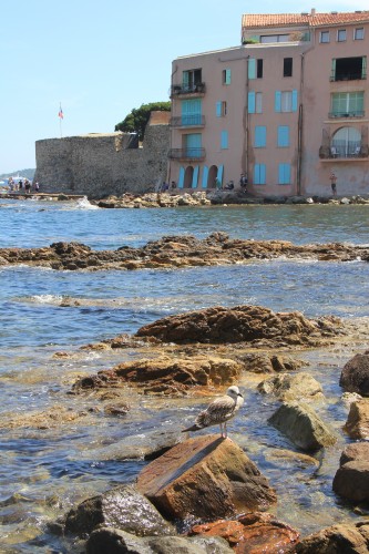 sénéquier,petit déjeuner chez sénéquier,tarte tropézienne sénéquier,saint tropez,bonnes adresses à st tropez,vacances,que faire à st tropez,shopping à st tropez,hipanema,bracelet hipanema,rondini,rondini st tropez,k jacques,k jacques st tropez,dior des lices,restaurant dior des lices,yannick alléno,make up for ever,make up for ever st tropez,place des lices,place des lices st tropez,citadelle st tropez,brasserie des arts st tropez